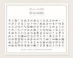 Summer 4-Pack Doodle Bundle, everything in the set
