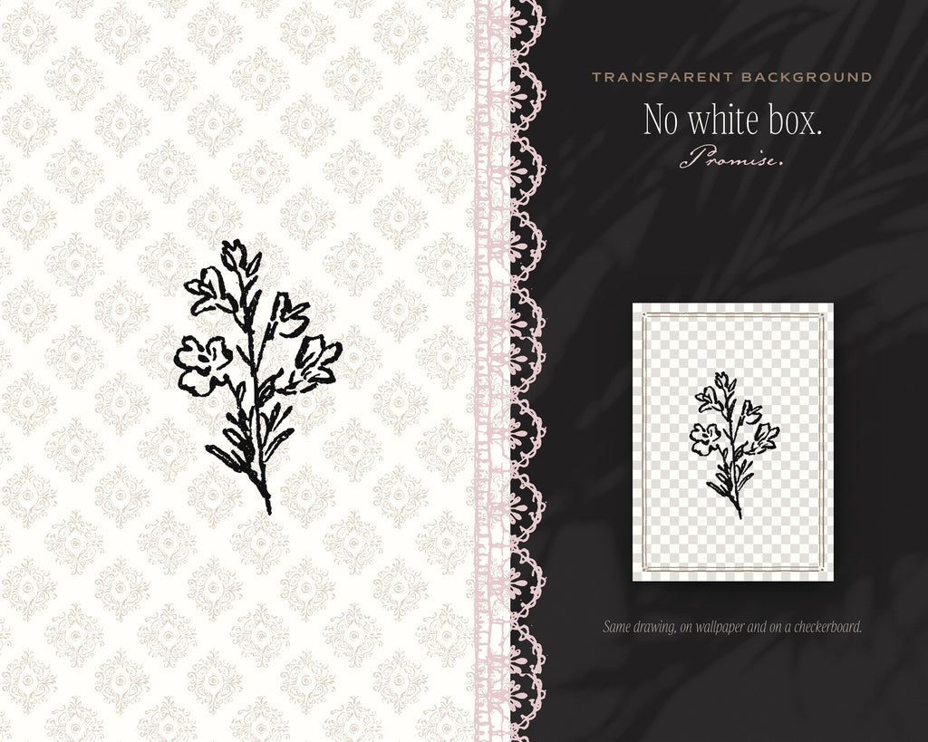 Western 4-Pack Doodle Bundle, no white box