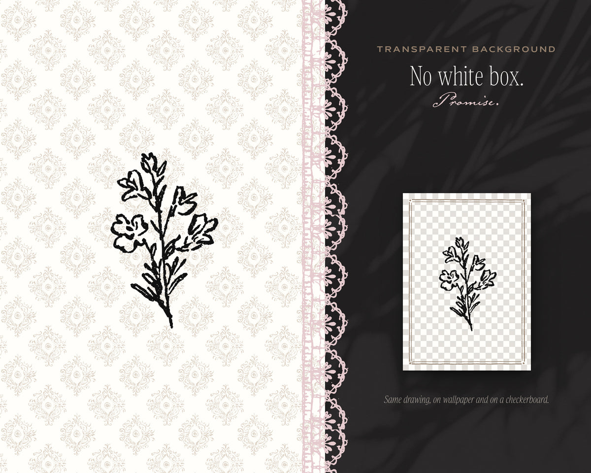 Western 4-Pack Doodle Bundle, no white box